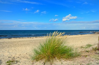 Strand Maas.jpg